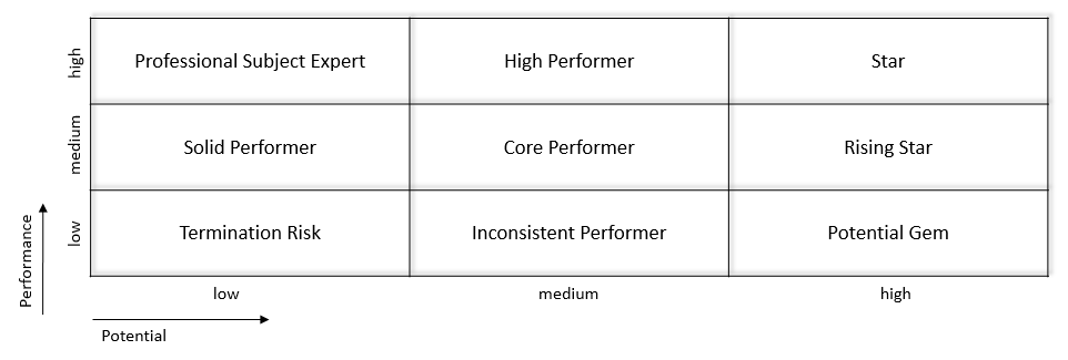 Individual Performance Model Improving individual performance within teams with social performance ...