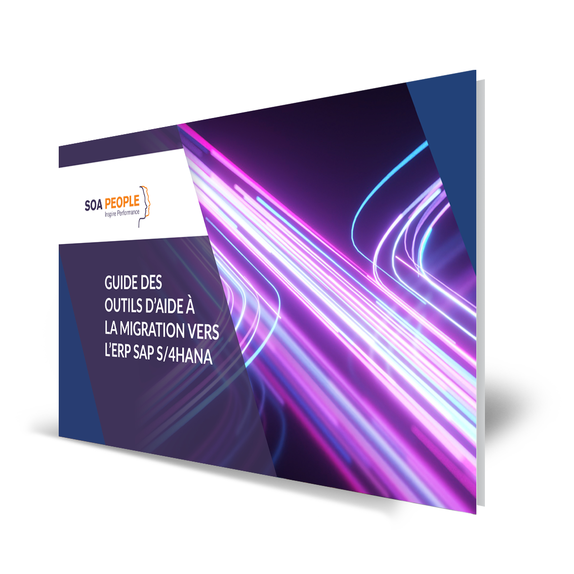 S4HANA Toolkit Guide ebook FR book image