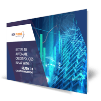 cover ebook 8 stgeps credit policies